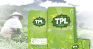 Grosir Teh Peluntur Lemak