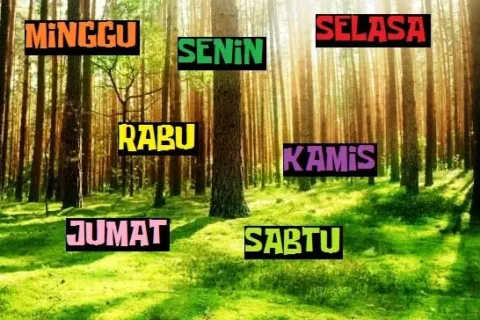 Caption Kata Bijak Singkatan Hari Minggu Senin Selasa Rabu Kamis Jumat Sabtu Kalimat Mutiara Penuh Makna