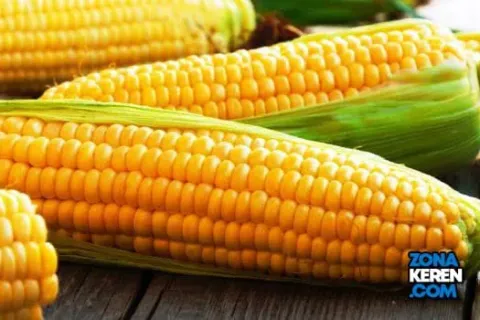 Update Harga Jagung Terbaru Minggu Ini Lengkap per Kg
