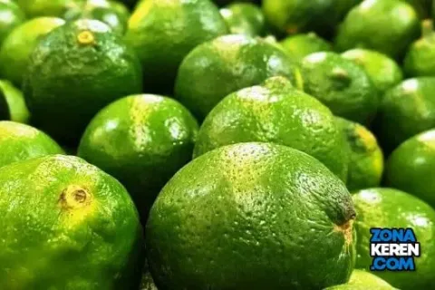 Update Harga Jeruk Nipis Terbaru Minggu Ini Jeruk Pecel per Kg