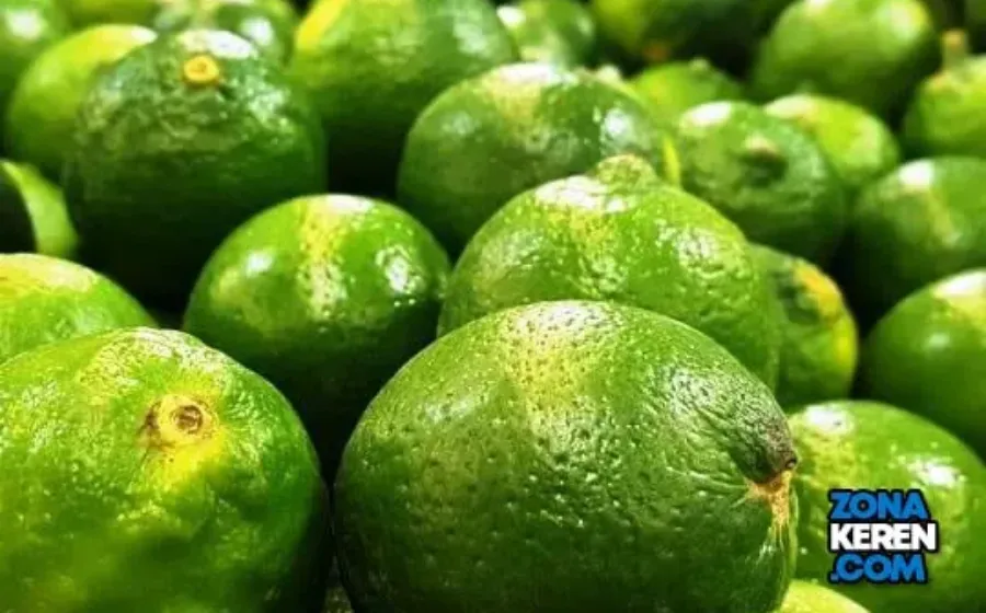 Update Harga Jeruk Nipis Terbaru Minggu Ini Jeruk Pecel per Kg