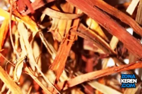 Update Harga Kayu Secang Terbaru Minggu Ini Lengkap per Kg
