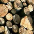Update Harga Kayu Sengon Terbaru Minggu Ini per Meter berbagai Diameter