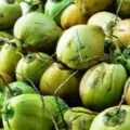 Update Harga Kelapa Terbaru Minggu Ini Lengkap per Kg