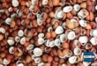 Update Harga Kopra Terbaru Minggu Ini Lengkap per Kg