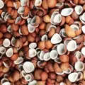 Update Harga Kopra Terbaru Minggu Ini Lengkap per Kg