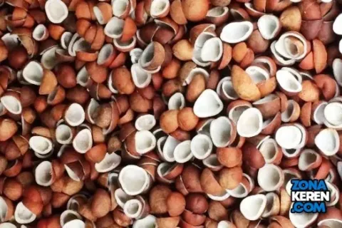 Update Harga Kopra Terbaru Minggu Ini Lengkap per Kg