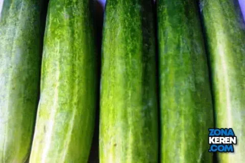 Update Harga Mentimun Terbaru Minggu Ini Lengkap per Kg