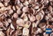 Update Harga Pinang Kering Terbaru Minggu Ini Lengkap per Kg