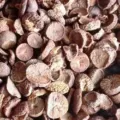 Update Harga Pinang Kering Terbaru Minggu Ini Lengkap per Kg