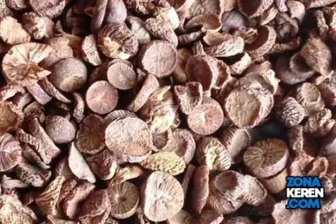 Update Harga Pinang Kering Terbaru Minggu Ini Lengkap per Kg
