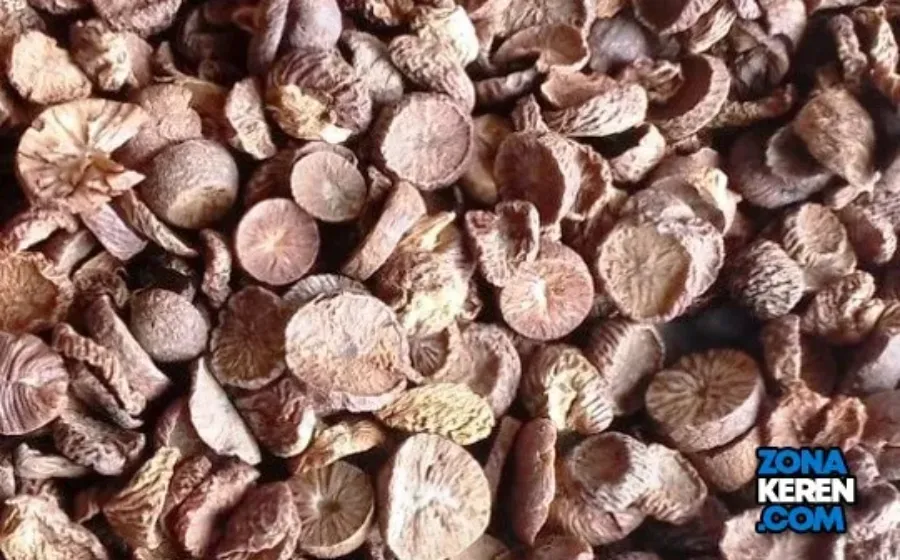 Update Harga Pinang Kering Terbaru Minggu Ini Lengkap per Kg