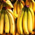 Update Harga Pisang Lokal Impor Terbaru Minggu Ini Lengkap per Sisir