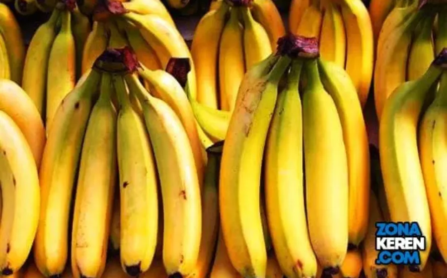 Update Harga Pisang Lokal Impor Terbaru Minggu Ini Lengkap per Sisir