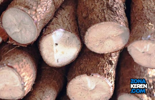 Harga Singkong per Kg Terbaru Juni 2023