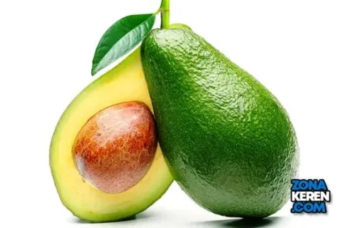 Update Harga Alpukat per Kg Terbaru Bulan Ini