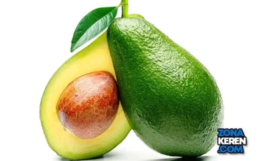 Update Harga Alpukat per Kg Terbaru Bulan Ini