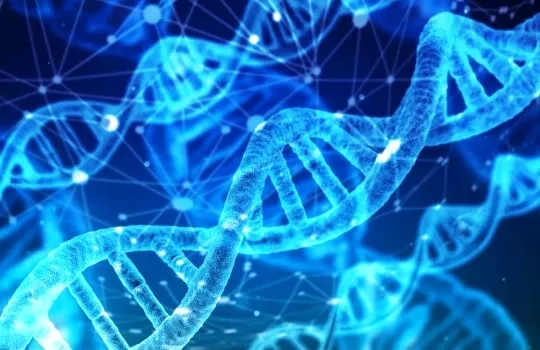 Pengertian Bioteknologi Modern Contoh Produk Dampak Positif Negatif