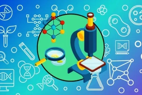 Pengertian Bioteknologi Modern Konvensional Contoh Produk Dampak Positif Negatif
