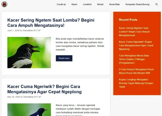 Tampilan PamanKicau.com Situs Referensi Perawatan Burung Terpercaya
