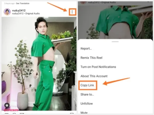 Cara menggunakan SnapInsta
