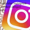 Download Video Instagram tanpa Aplikasi dengan SnapInsta