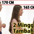 Meninggikan Badan