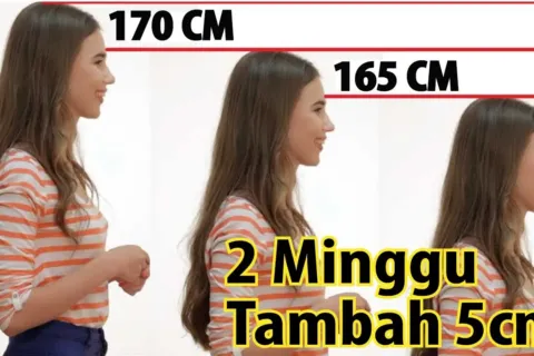 Meninggikan Badan