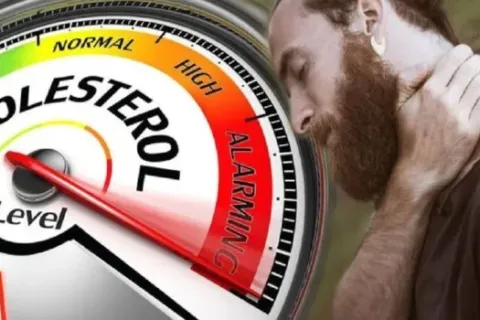 Kolesterol