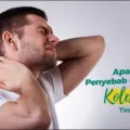 Kolesterol Tinggi