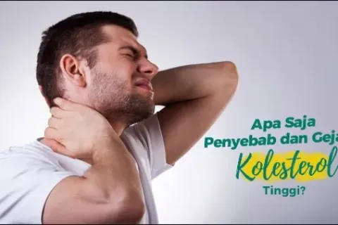 Kolesterol Tinggi