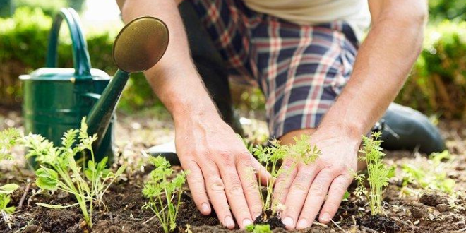 Cara Pria Menghibur Diri Melalui Hobi, Melepaskan Penat dengan Bersenang senang