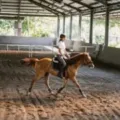 Tips Berkuda untuk Pemula agar Nggak Grogi di Atas Pelana