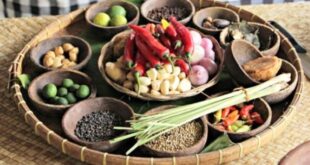Ciri Khas Bumbu Masakan Indonesia yang Bikin Lidah Ketagihan dan Aromanya Sulit Dilupakan