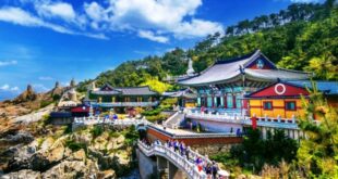 Korea Selatan untuk Traveler Hemat, Panduan Eksplorasi Seoul dan Busan