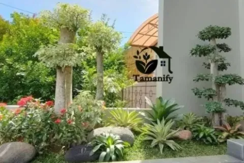 Panduan Membuat Taman yang Rapi, Estetis, dan Mudah Dirawat