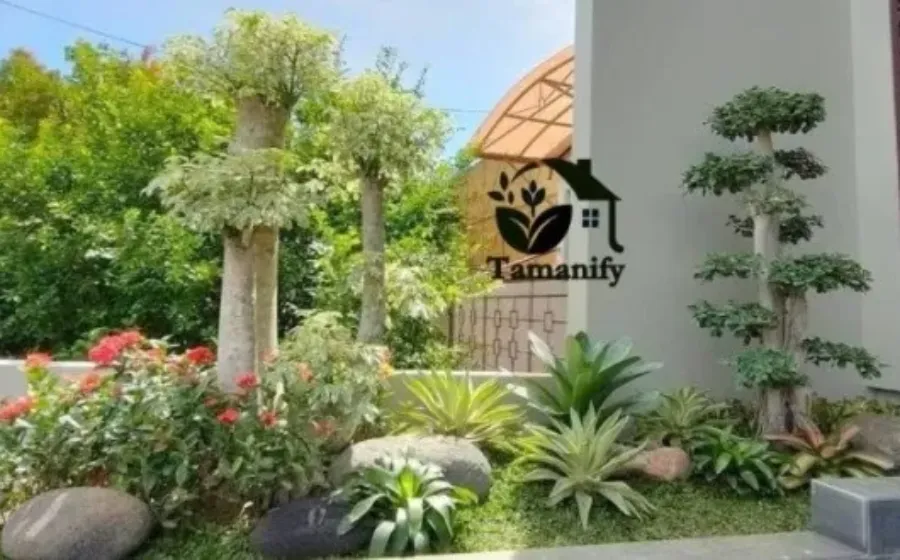 Panduan Membuat Taman yang Rapi, Estetis, dan Mudah Dirawat