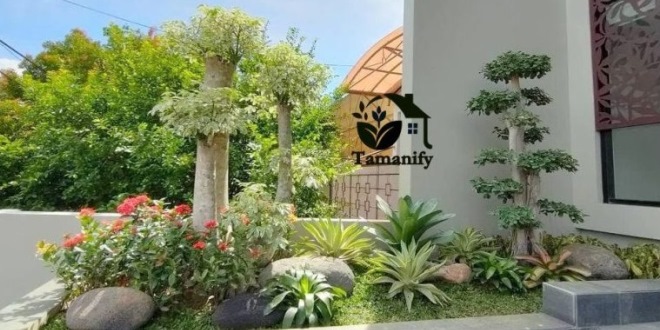Panduan Membuat Taman yang Rapi, Estetis, dan Mudah Dirawat