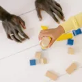 Cara membantu anak mengembangkan kepercayaan diri dengan menyusun mainan balok kayu di ruang tamu rumah
